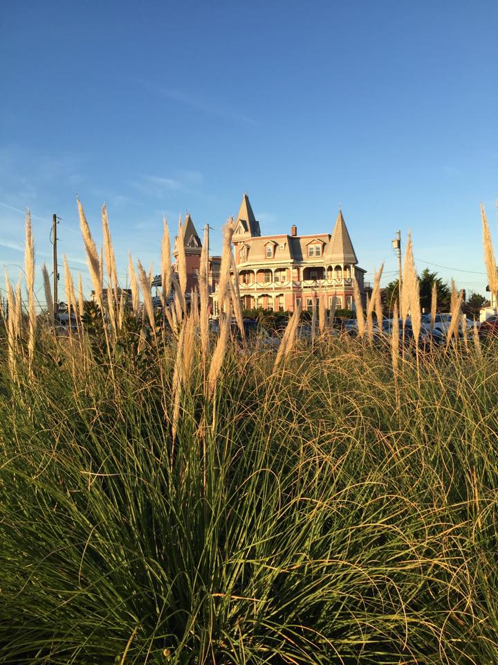 Photo of Angel of the Sea Bed & Breakfast